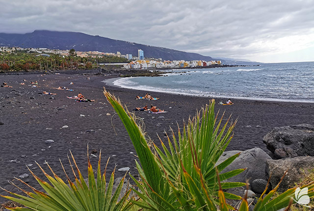 Playa Jardin, Tenerife