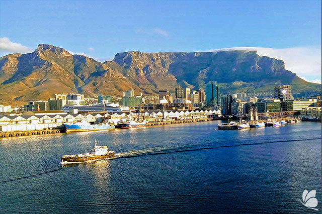 Excursie cu barca in Cape Town, Africa de Sud