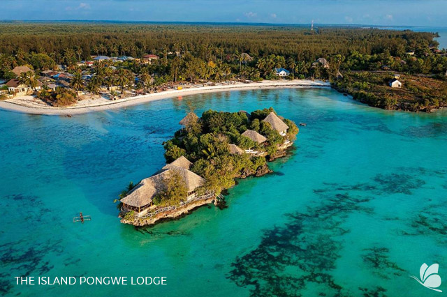 The Island Pongwe Lodge 3*
