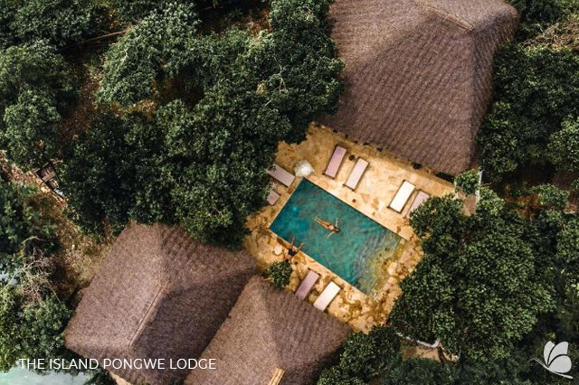 The Island Pongwe Lodge 3*