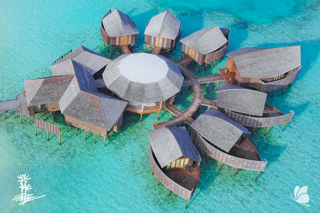 Lily Beach Resort & Spa Maldive