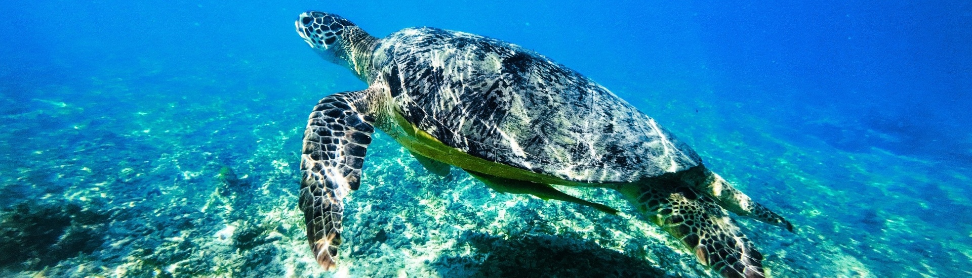 Cele mai frumoase plaje din Gili Islands