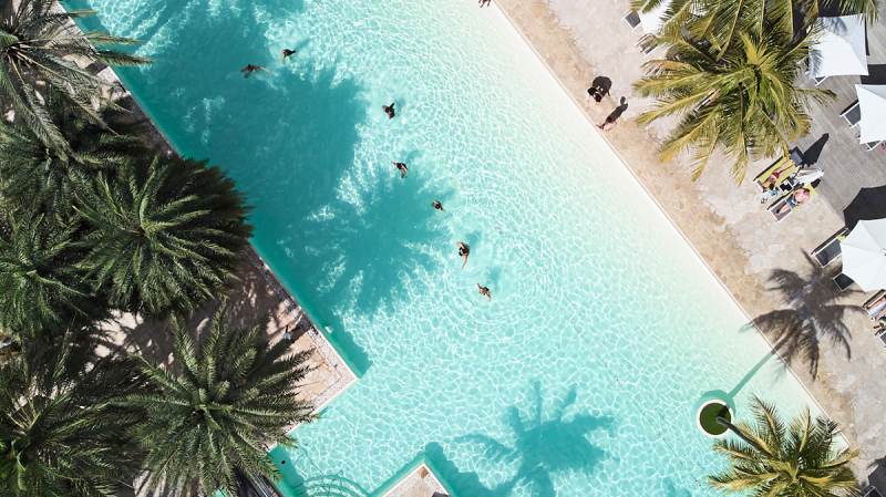 The Ravenala Attitude