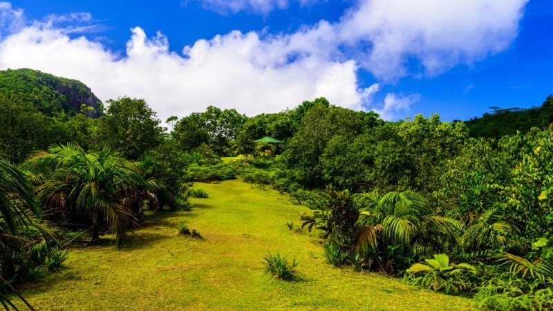 Mare aux Cochons Trail traseu montan Mahe