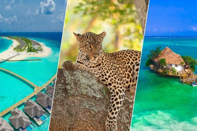 Chartere Eturia zboruri directe