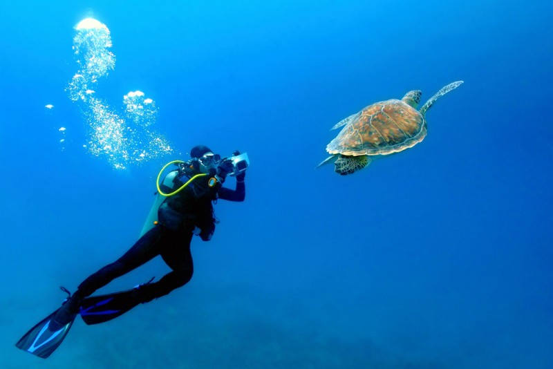 Scufundari intre recife si epave in Seychelles