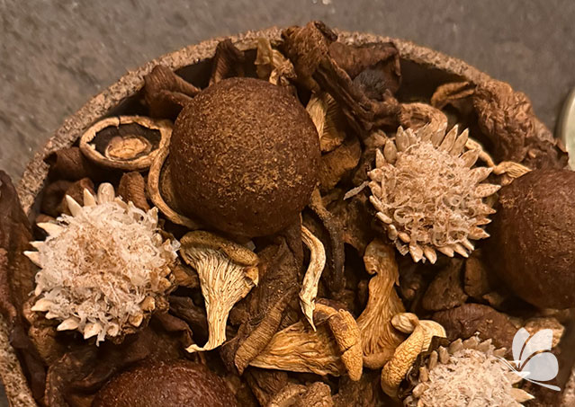 gastronomie-europa-9